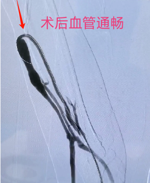 1893f71a0ad999307a30830067e5709d.png