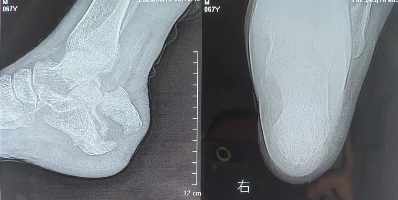 515bf3132c659627e52be388a39376e3.jpg